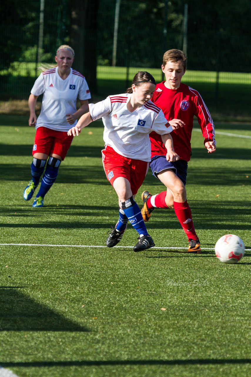 Bild 199 - Frauen HSV - cJun Eintracht Norderstedt : Ergebnis: 1:16